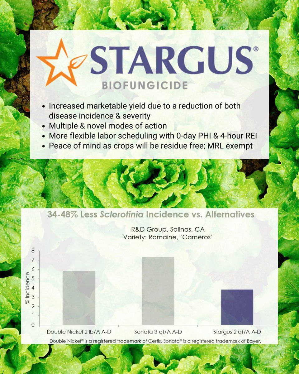 Stargus