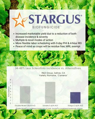 Stargus
