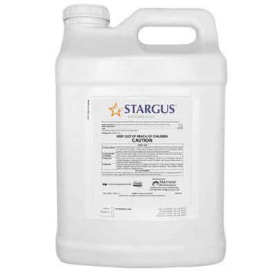 Stargus