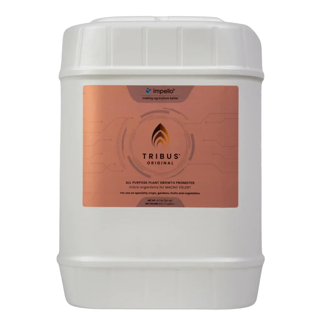 Tribus® Original