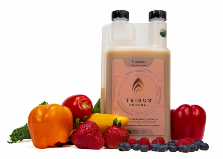 Tribus® Original