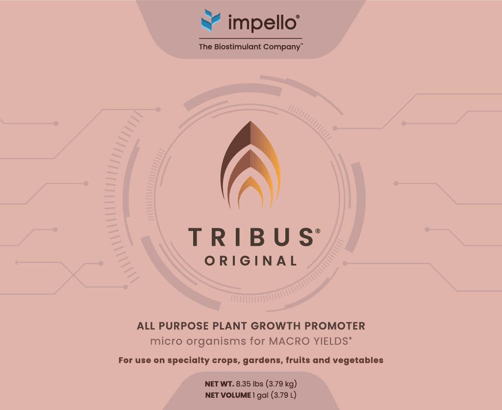 Tribus® Original