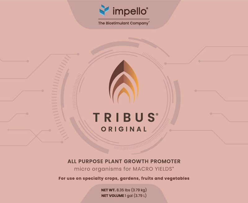 Tribus® Original