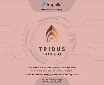 Tribus® Original