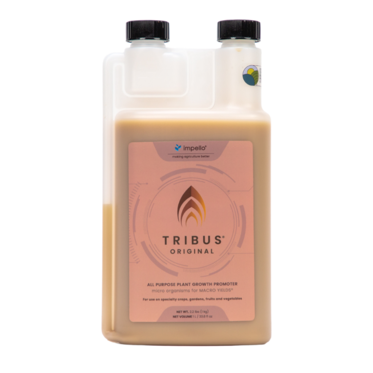 Tribus® Original