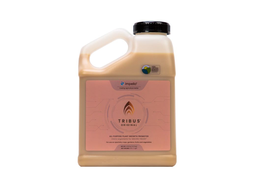 Tribus® Original