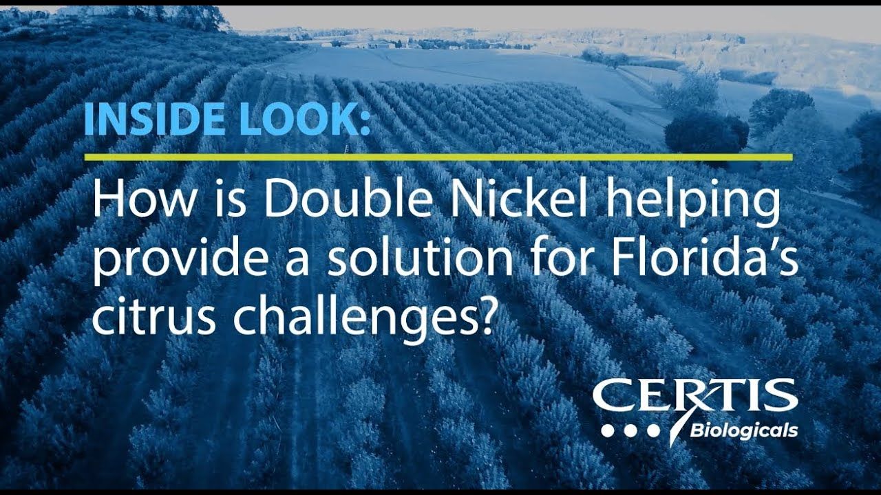 Double Nickel