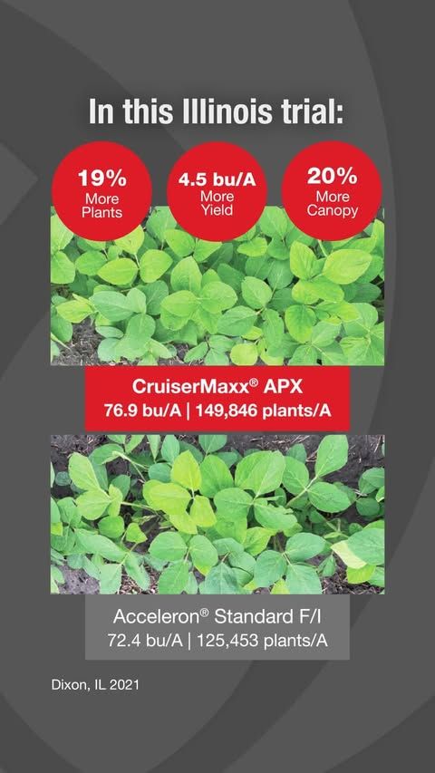 CruiserMaxx APX