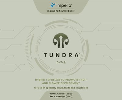 Tundra