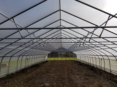 K50 IR/AC 4-Year Greenhouse Film - 6mil - 40ft x 100ft