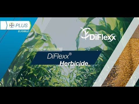 DiFlexx Herbicide (Bayer Crop Sciences)