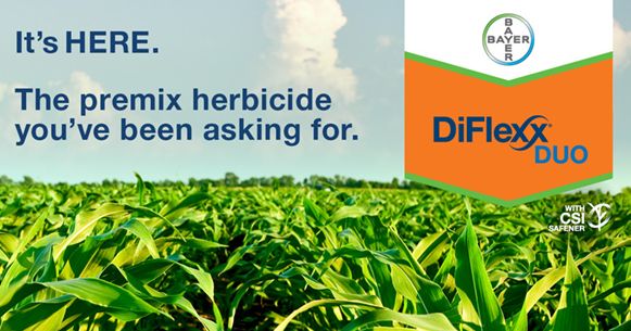 DiFlexx Duo (Bayer Crop Sciences)