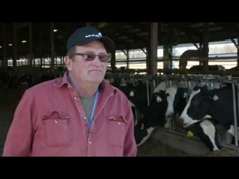 DiFlexx Duo (Bayer Crop Sciences)