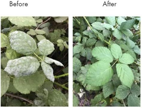 Lost Coast Plant Therapy® Insecticide &amp; Fungicide