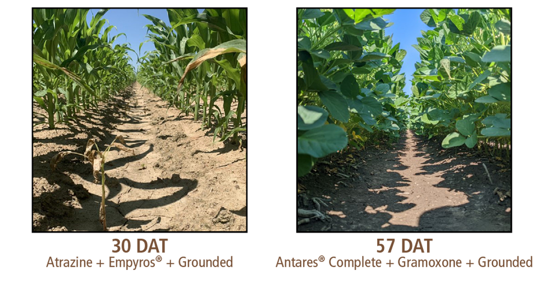 Antares Complete (Helena Ag)