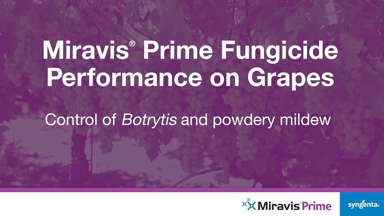 Miravis Prime (Syngenta)