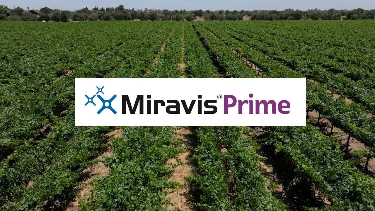 Miravis Prime (Syngenta)