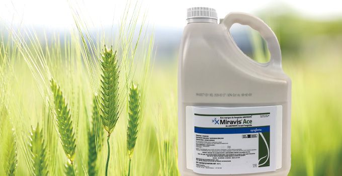 Miravis Ace (Syngenta)