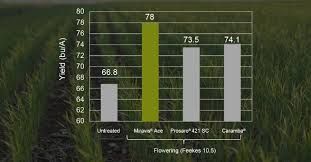 Miravis Ace (Syngenta)