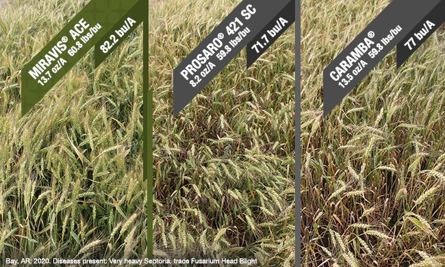 Miravis Ace (Syngenta)