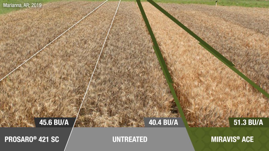 Miravis Ace (Syngenta)