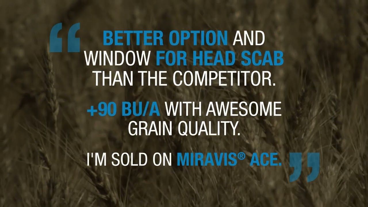 Miravis Ace (Syngenta)