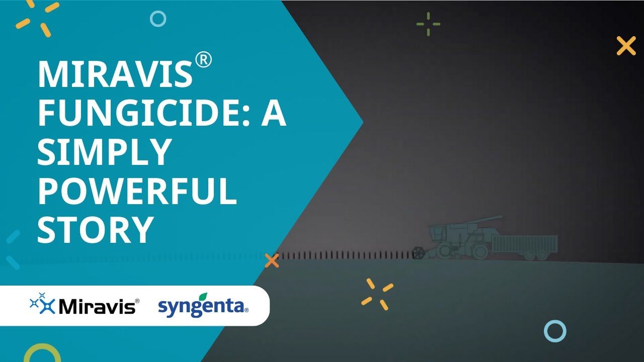 Miravis Ace (Syngenta)