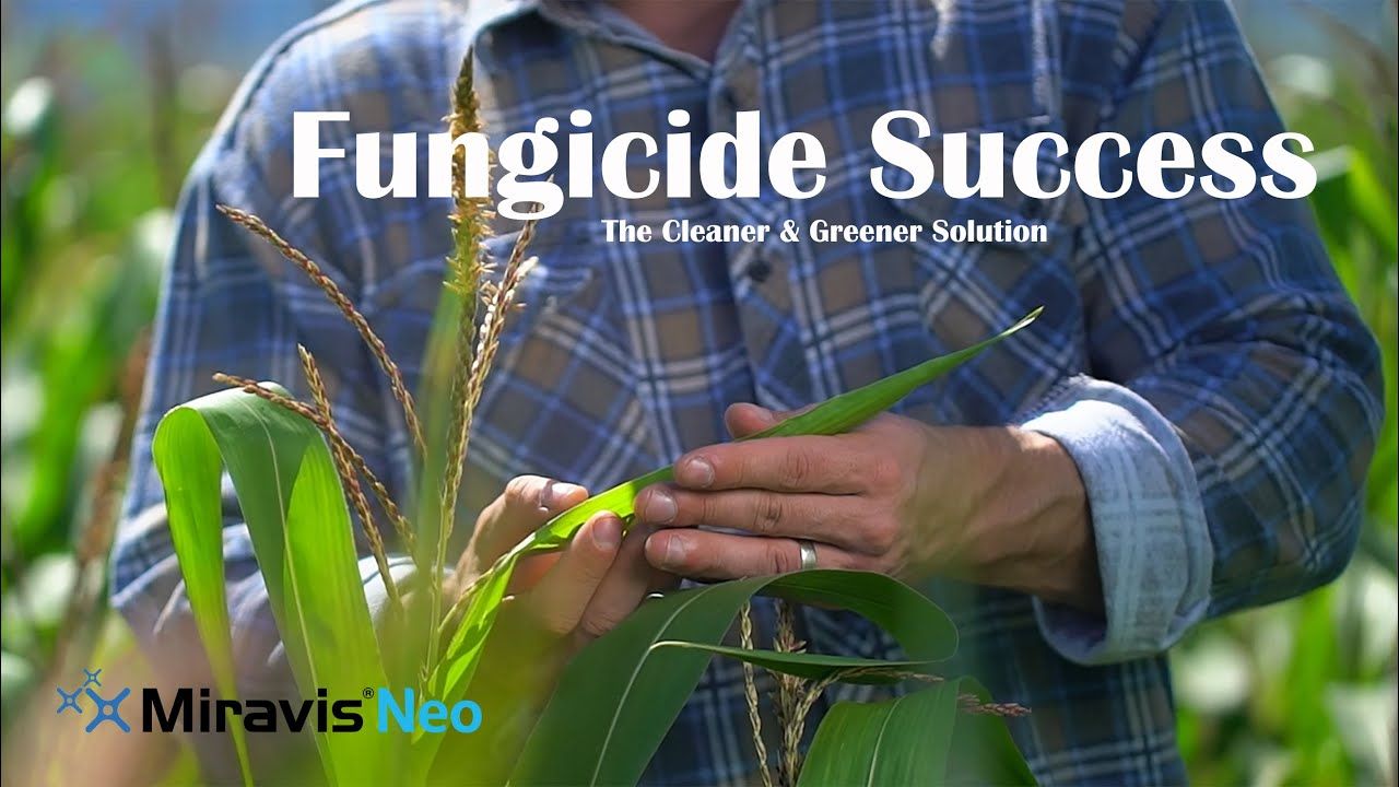 Miravis Neo (Syngenta)