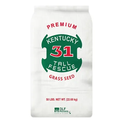 Kentucky 31 97/85 Tall Fescue Seed