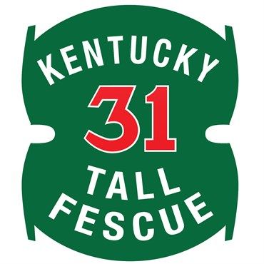 Kentucky 31 97/85 Tall Fescue Seed