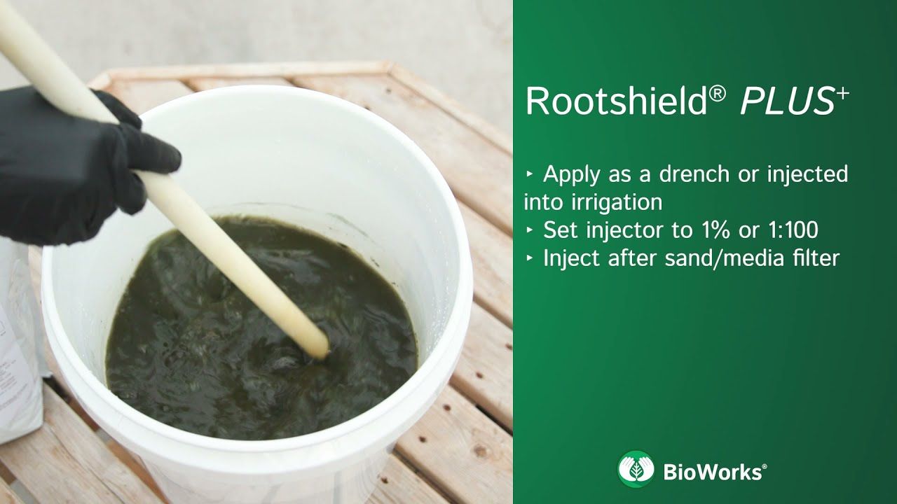 Rootshield Plus Granules