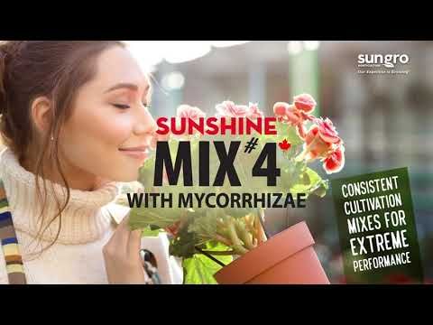 Sunshine® Mix #4 w/Myco and Resilience