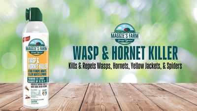 Maggie&#39;s Farm™ Simply Effective™ Wasp &amp; Hornet Killer Spray