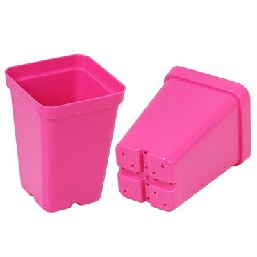 SUNPACK® Square Pot 2.5&quot;