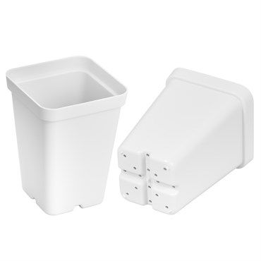 SUNPACK® Square Pot 2.5&quot;