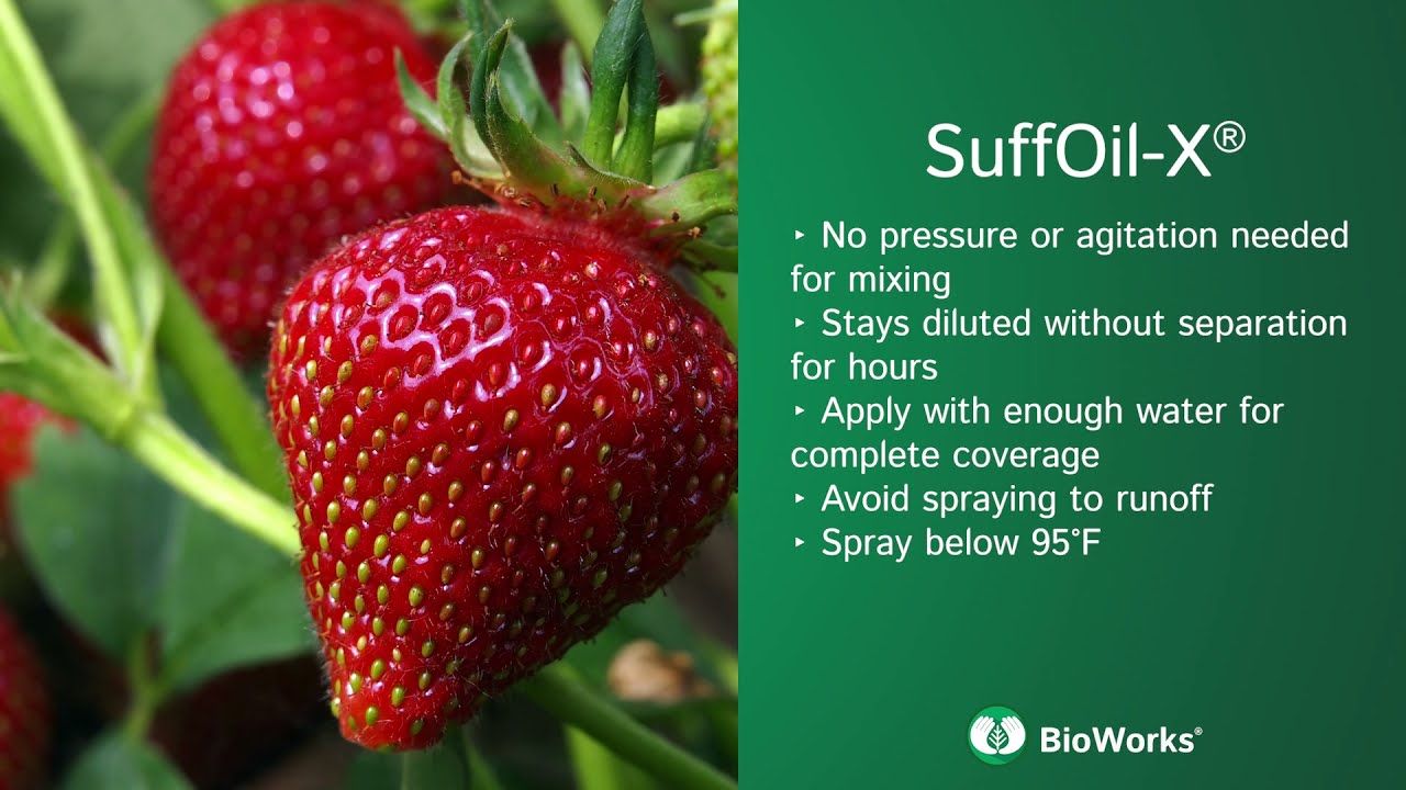 Suffoil-X (Bioworks, Inc.)