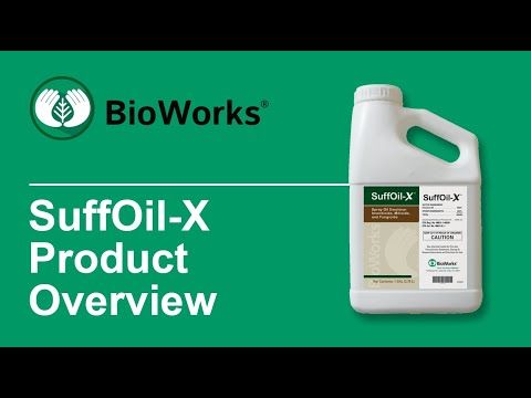 Suffoil-X (Bioworks, Inc.)