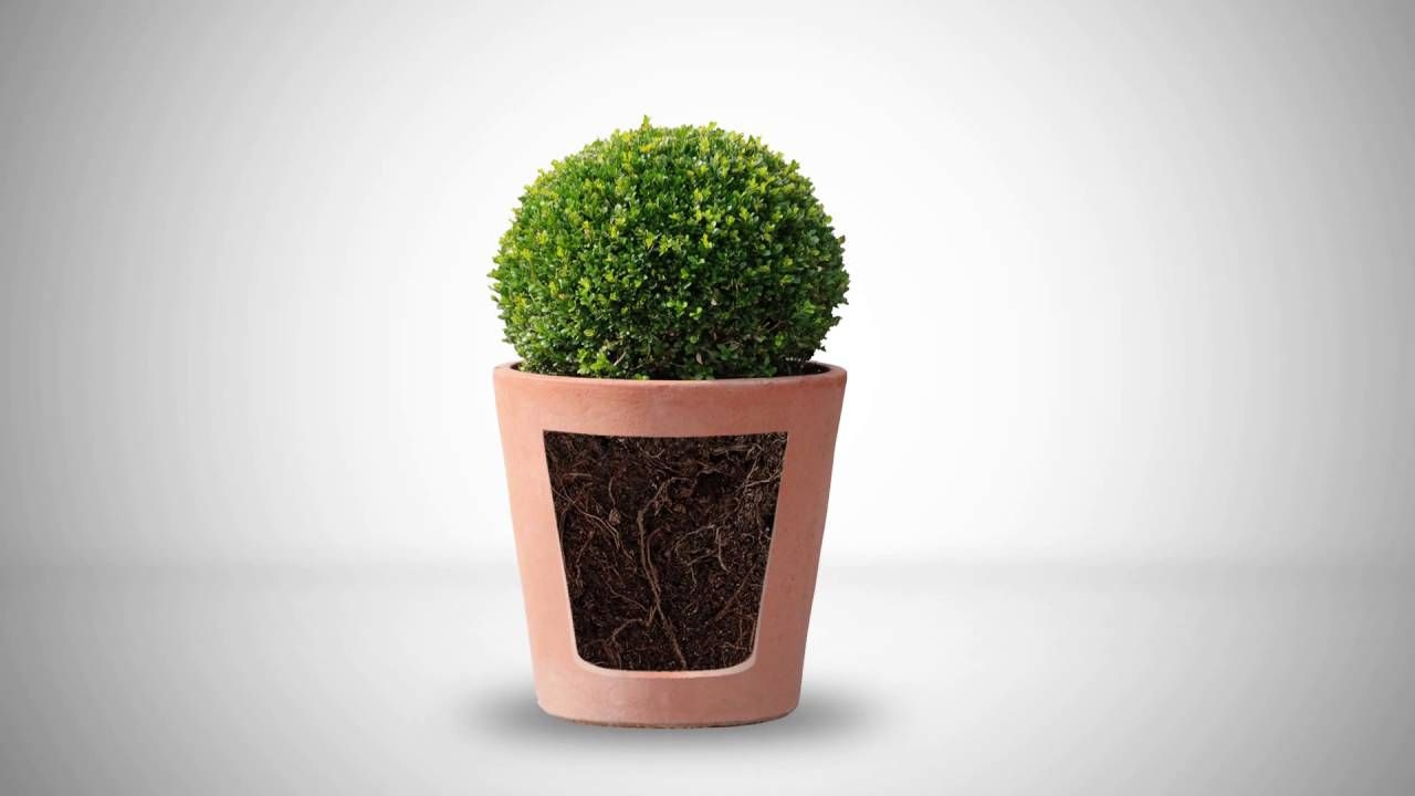 Osmocote® Plus 15-9-12