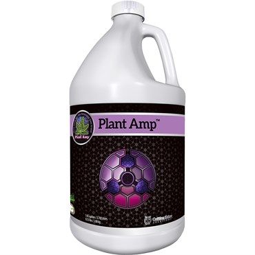 Plant Amp (Cutting Edge)