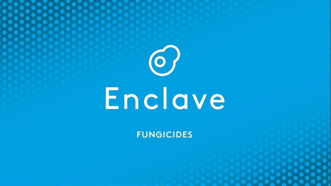 Quali-Pro Enclave