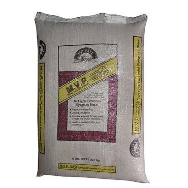 MVP Perennial Rye Mix