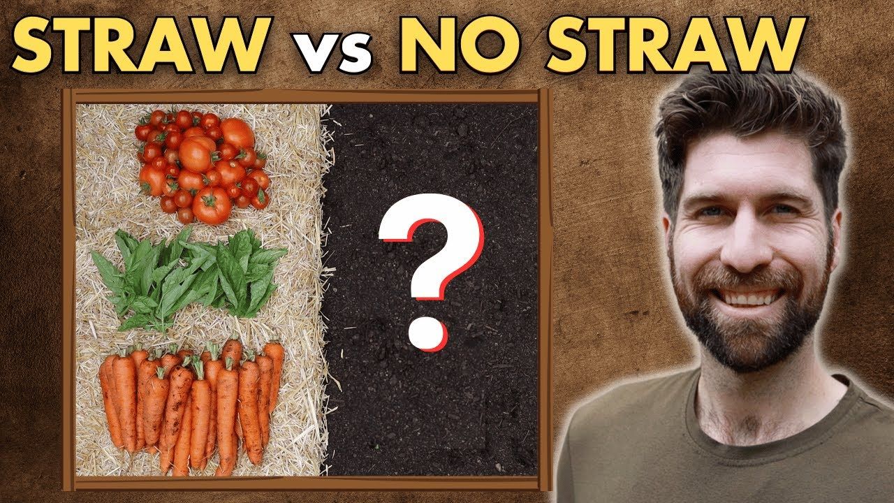 HealthiStraw™ GardenStraw™ Wheat Straw Mulch