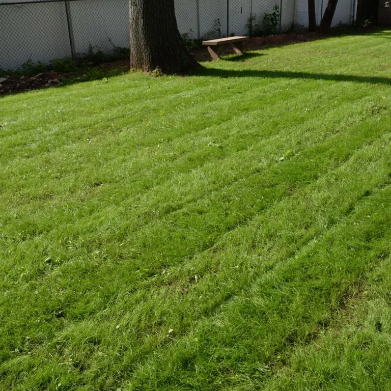 Wetsel Seed™ Navigator III Creeping Red Fescue Seed