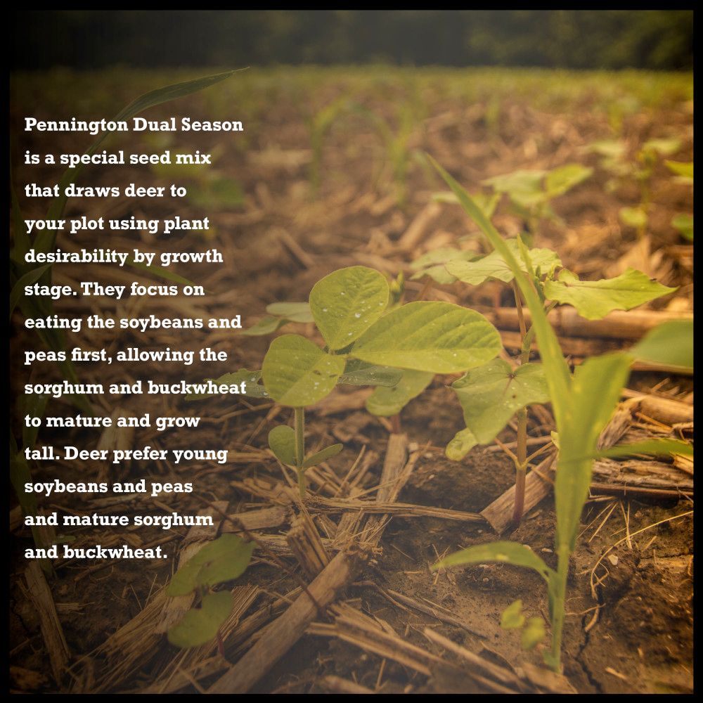 Pennington® RACKMASTER® Wildlife Dual Season Food Plot Seed Mixture