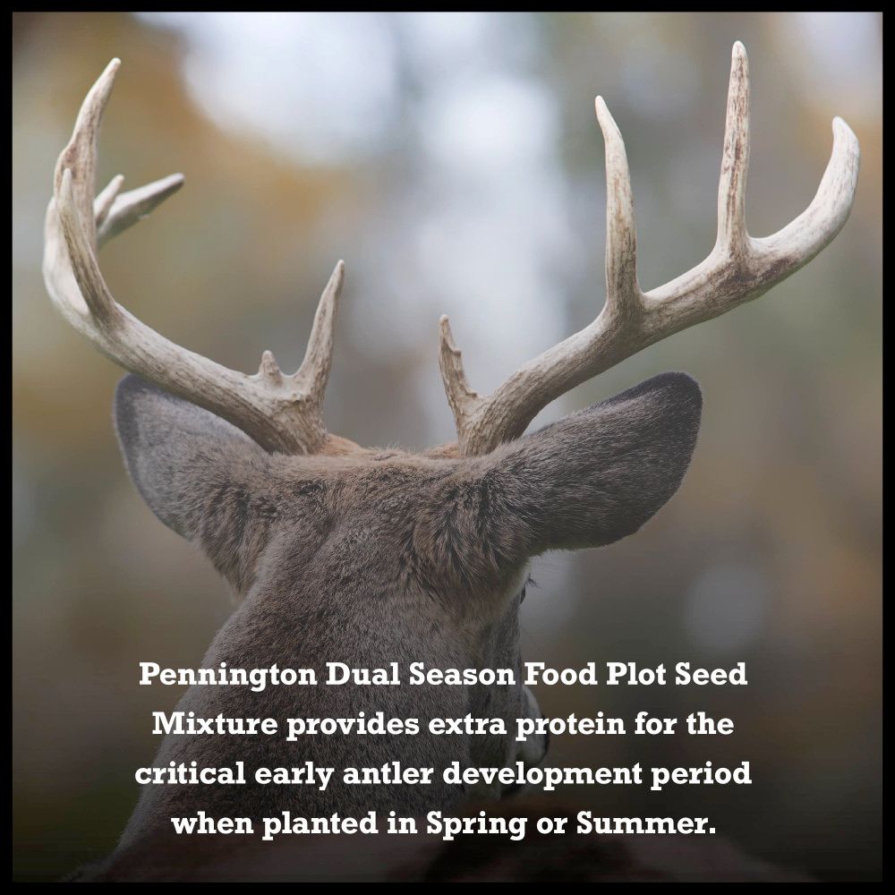 Pennington® RACKMASTER® Wildlife Dual Season Food Plot Seed Mixture