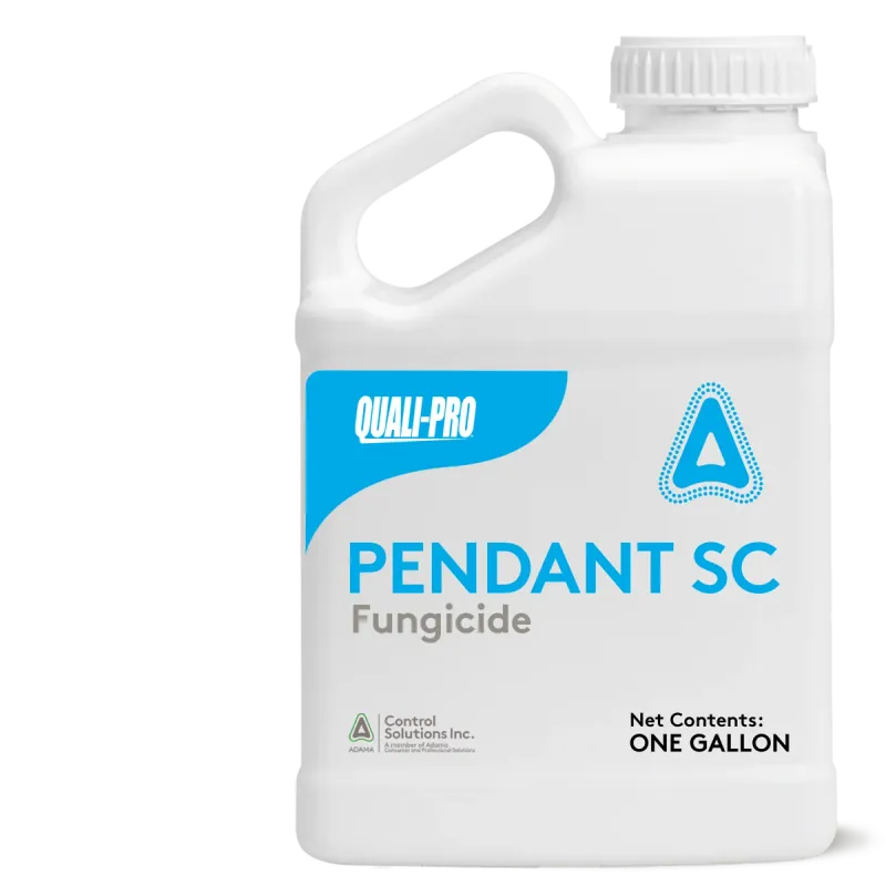 Pendant SC (Quali-Pro)