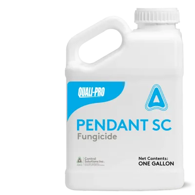 Pendant SC (Quali-Pro)