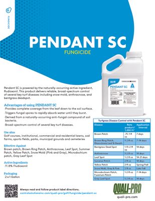Pendant SC (Quali-Pro)