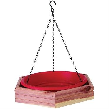 Cedar Hanging 2 in 1 Bird Bath &amp; Feeder