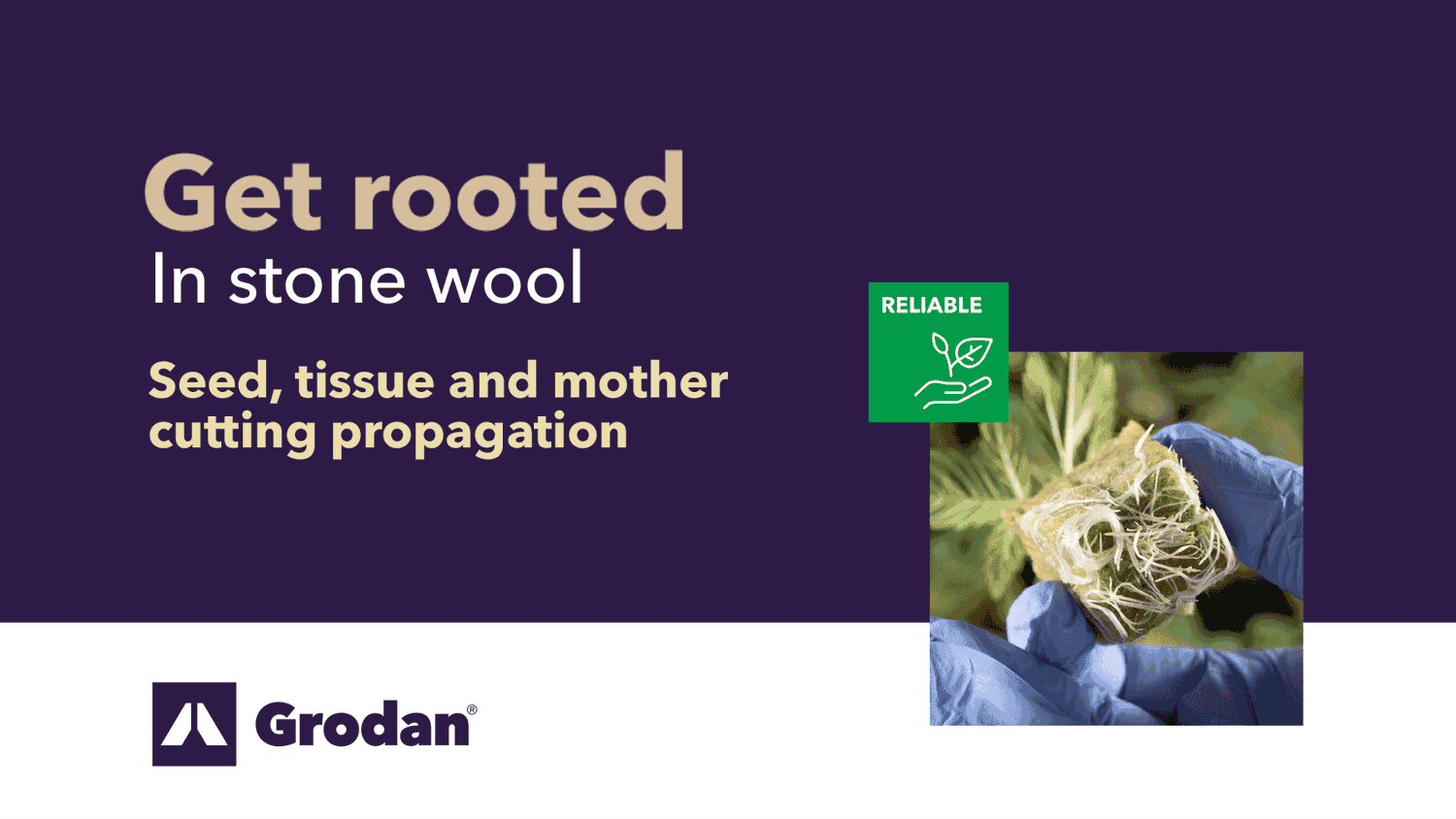Grodan A-OK Starter Plug